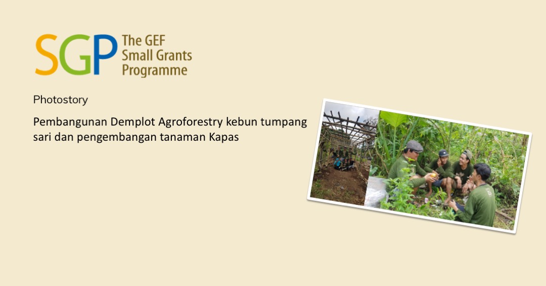 Pembangunan Demplot Agroforestry Kebun Tumpang Sari Dan Pengembangan