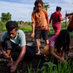 Kebun Gizi Keluarga di Pulau Sabu dan Raijua