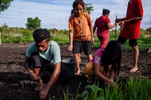 Kebun Gizi Keluarga di Pulau Sabu dan Raijua