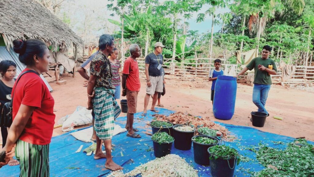 Pelatihan Pembuatan Pupuk POC sebagai salah satu penerapan pertanian adaptif oleh Kupang Batanam di Pulau Sabu