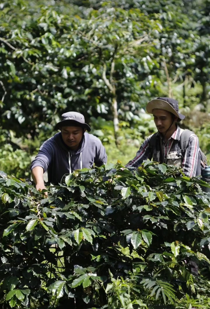 Petani / Komunitas