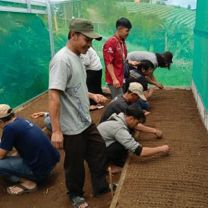 Yayasan Koling berkolaborasi dengan Mitra GEF SGP Indonesia laksanakan Pelatihan Praktik Pembenihan di Desa Tempelsari