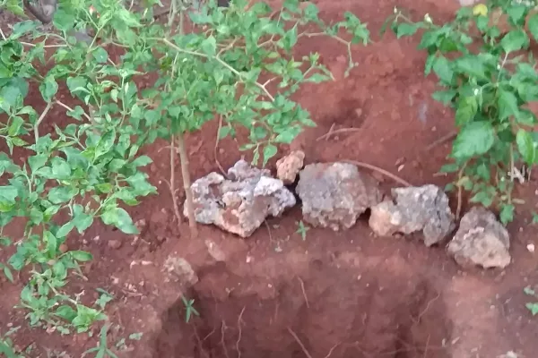 lubang-resapan-3-1200x2133-65839c62c7923