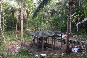 swps-wakatobi 7