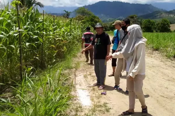 whatsapp-image-2020-08-24-at-22841-pm-65734b7a48f12