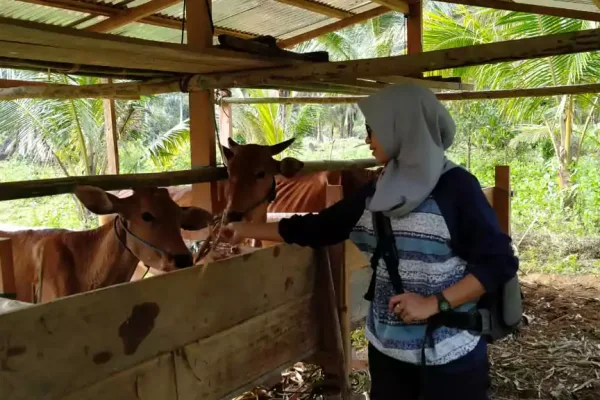 whatsapp-image-2020-08-24-at-23143-pm-65734b7b723ef