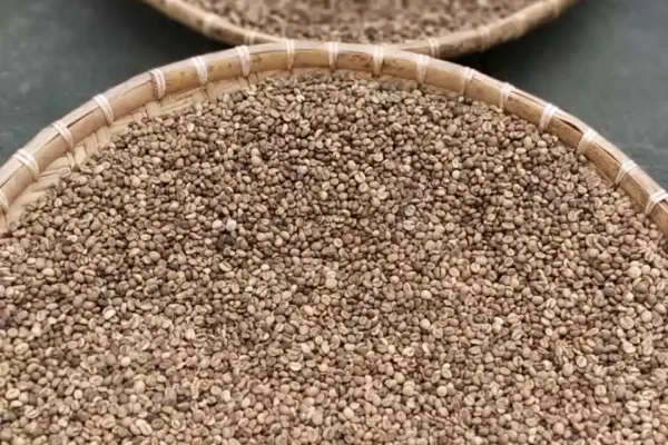 whatsapp-image-2020-09-21-at-50928-pm-1-6583a3df0b67b