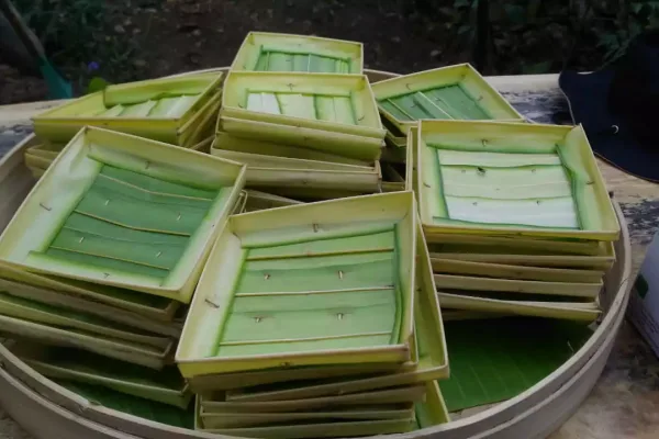 whatsapp-image-2020-09-22-at-71222-am-1-657349568148d