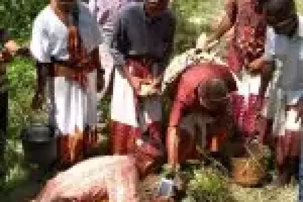 whatsapp-image-2020-12-10-at-53644-am-1-150x300-6573434d95c4b