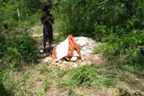 whatsapp-image-2020-12-10-at-53644-am-2-300x169-657343501dd61